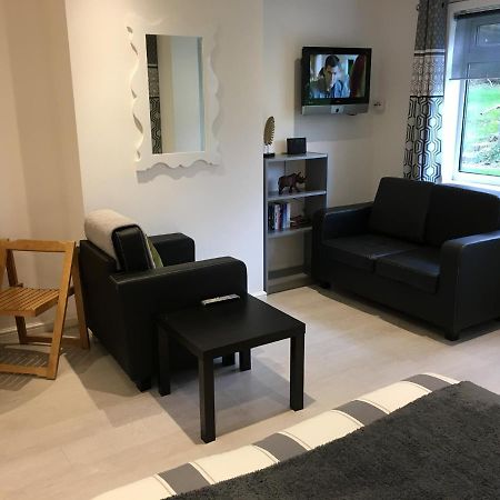 Spacious Ground Floor Studio Flat - Easy Access To Stansted Airport, London And Cambridge Bishop's Stortford Exterior foto